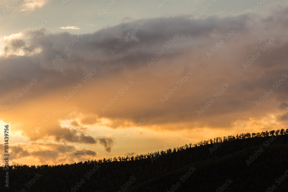 A long line of trees on a hill against a beautiful, warm sky at sunset