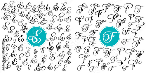 Set letter E, F. Hand drawn vector flourish calligraphy. Script font. Isolated letters written with ink. Handwritten brush style. Hand lettering for logos packaging design poster.