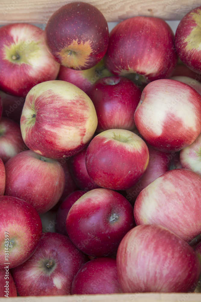 Red Apples for sale on Market Stall; Bordeaux Red Apples for sale on Market Stall; Bordeaux