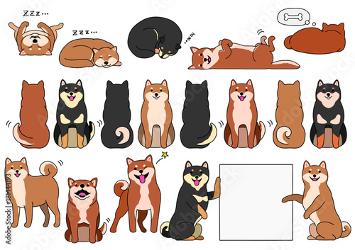 shiba inu elements with outline set 
