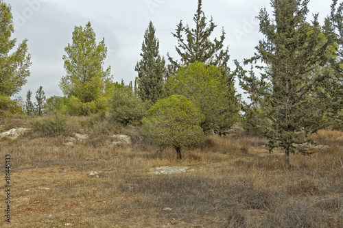 Park in Israel. Samaria. © rmoshe