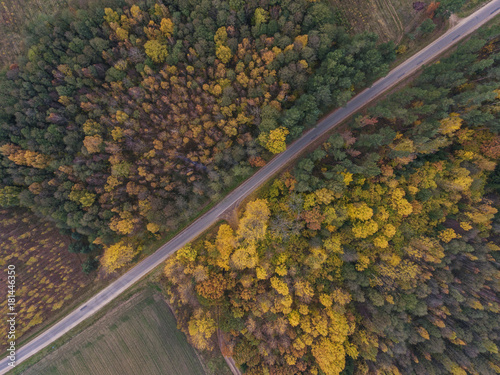 Aerial view over Autumn season woods in Lithuania rural village.