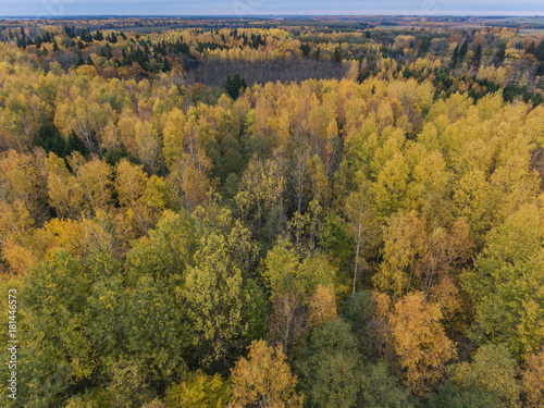 Aerial view over Autumn season woods in Lithuania rural village. photo