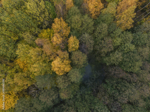 Aerial view over Autumn season woods in Lithuania rural village. photo