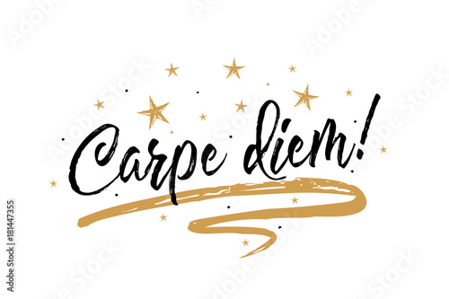 Carpe diem card. Beautiful greeting banner poster calligraphy inscription black text word gold ribbon. Hand drawn design elements. Handwritten modern brush lettering white background isolated vector