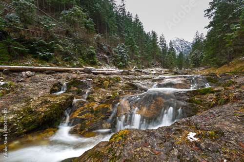 Mountain creek in Tatra mountains  Poland