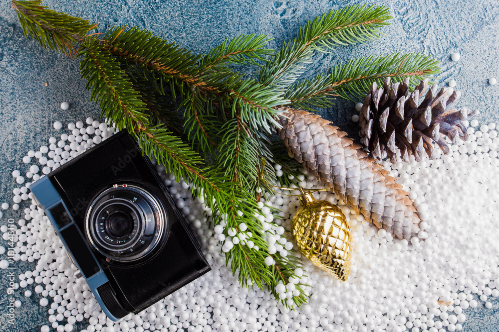 fir branch with camera fir branch with camera