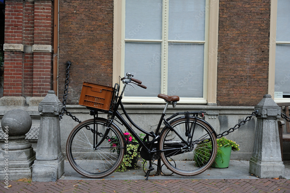Bicycles and flowers in Amsterdam