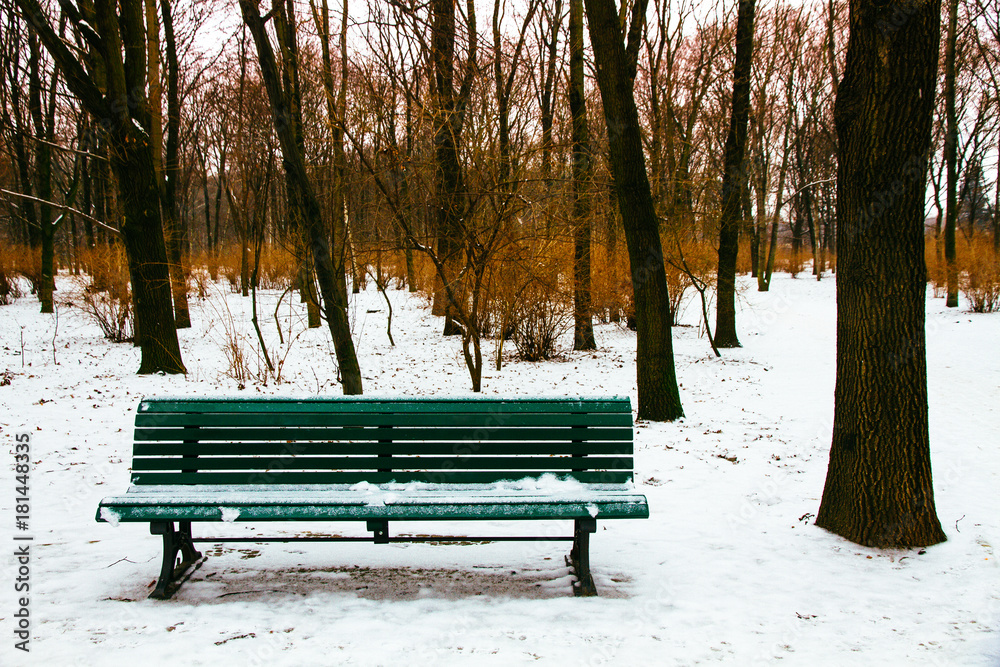 Park bench and surrounding trees covered by snow during Winter season. Photo taken at the public open park Tiergarten in Berlin, Germany.