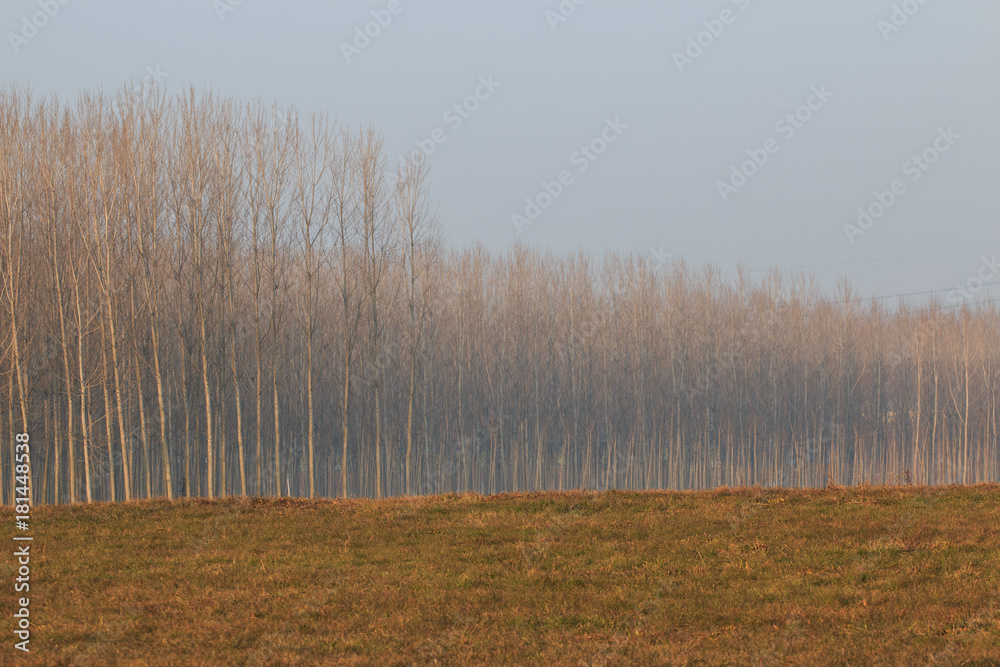 paesaggio autunnale in pianura padana