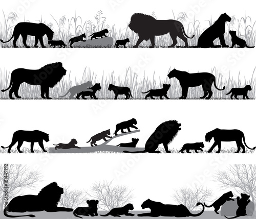 Fototapeta Naklejka Na Ścianę i Meble -  Silhouettes of lions and lion cubs outdoors