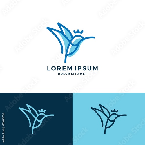 hummingbird colibri king fisher bird logo