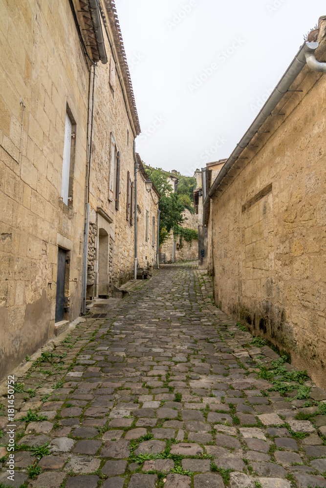 ancient street made of stone named Rue de la Port Saint-Martin, in Saint-Emilion, France