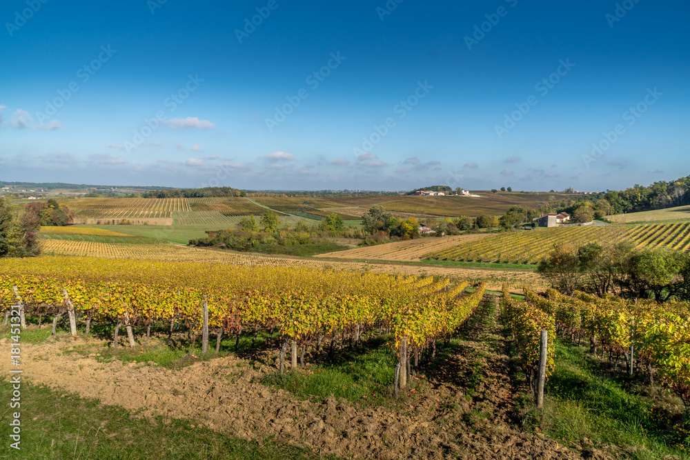 Autumn sunset on vineyards around Saint-Emilion with hills grapes and trees in Medoc region near Bordeaux France