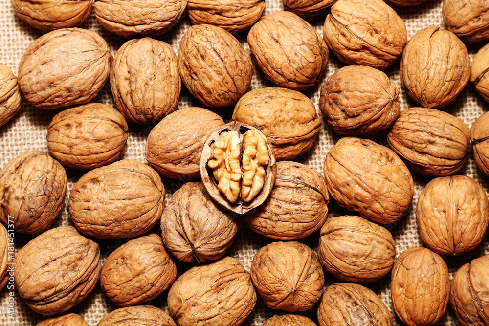 Walnuts against the background of cloth burlap Walnuts against the background of cloth burlap