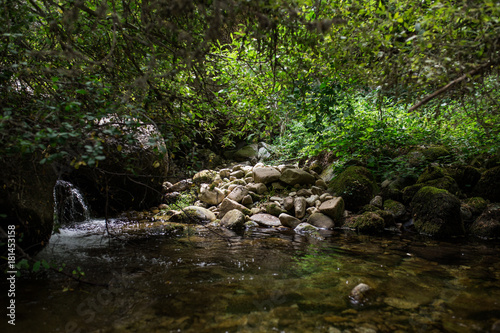 river in forest mountains © Manuel
