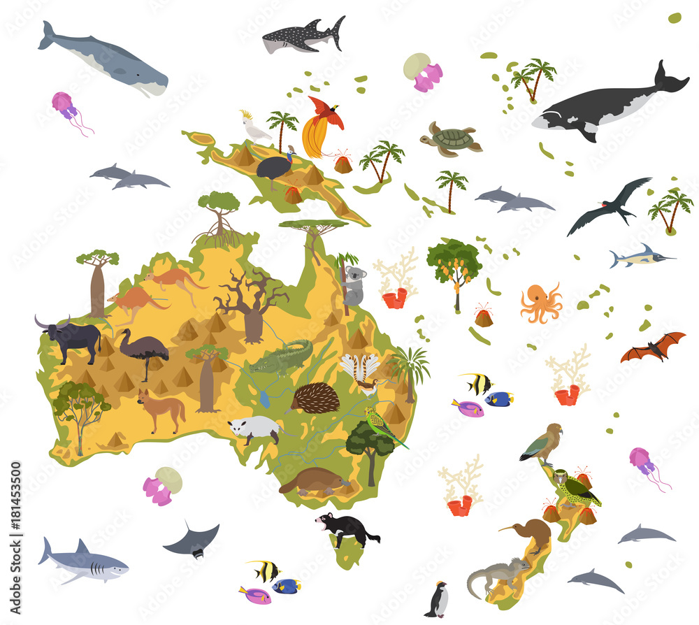 Fototapeta Australia and Oceania flora and fauna map, flat elements. Animals, birds and sea life big set. Build your geography infographics collection