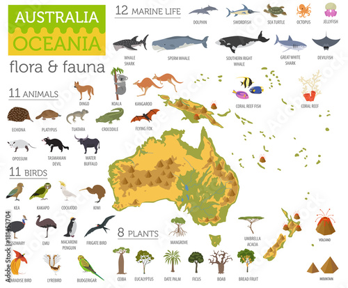 Australia and Oceania flora and fauna map, flat elements. Animals, birds and sea life big set. Build your geography infographics collection © a7880ss