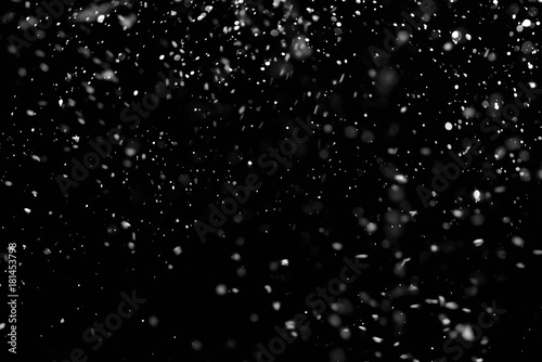 Fototapeta Falling Snow down On The Black Background.
