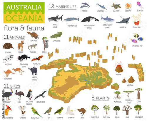 Isometric 3d Australia and Oceania flora and fauna map elements. Animals, birds and sea life. Build your own geography infographics collection photo