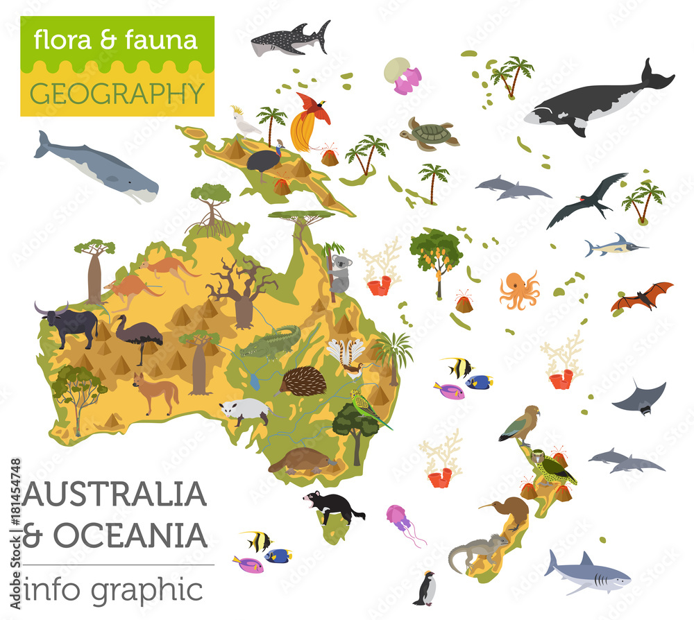 Naklejka Mapa flory i fauny Australii i Oceanii, elementy płaskie. Zwierzęta, ptaki i życie w morzu duży zestaw. Zbuduj swoją kolekcję infografiki geografii