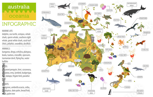 Canvas Print Australia and Oceania flora and fauna map, flat elements