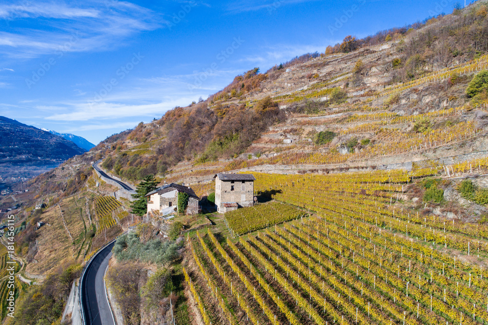 Winery, terracing and vineyards in Valtellina