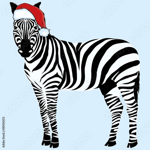 Zebra hat - vector, illustration, christmas, design, zoo