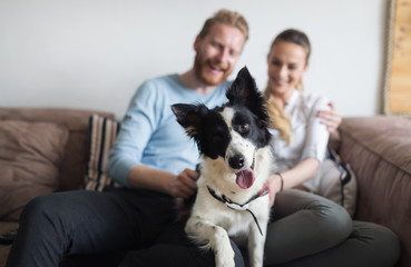 Beautiful couple relaxing at home and loving their dog