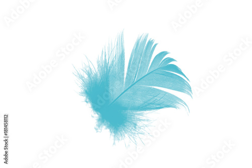 feather color turquoise emerald green on white background 