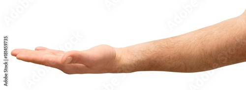 Arm with Palm Open