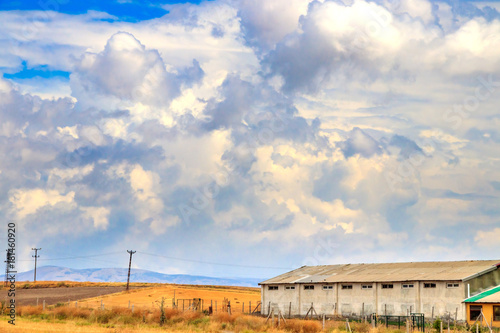 Wheat field and cloud sky