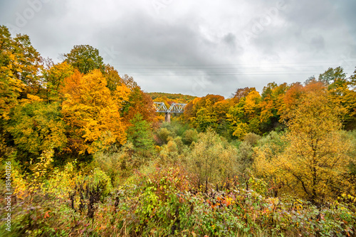 Fototapeta Naklejka Na Ścianę i Meble -  Scenic landscape of autumn forest