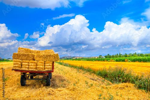 Hay wagon with hay bales on wheat field