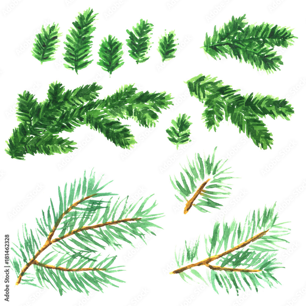 Hand painted watercolor clip art collection of spruce branches for Christmas decoration