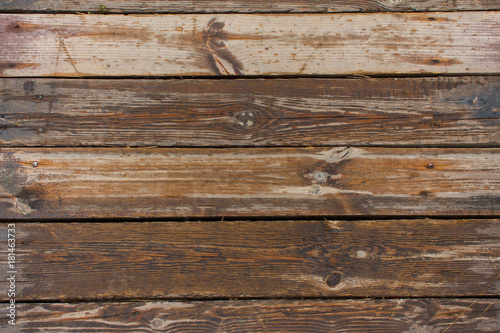 texture of untreated wood in natural conditions