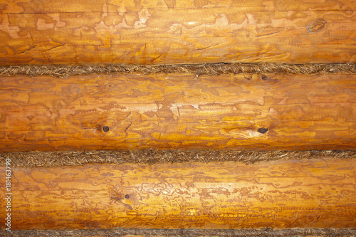 texture of untreated wood in natural conditions
