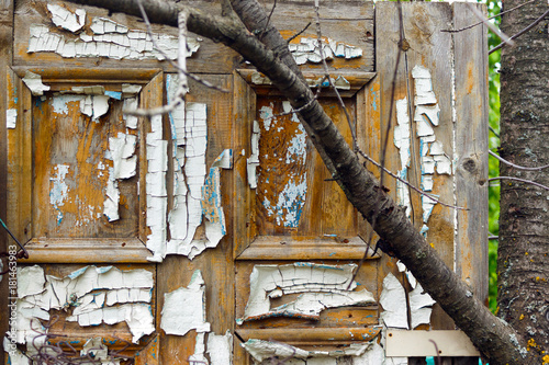 texture of untreated wood in natural conditions