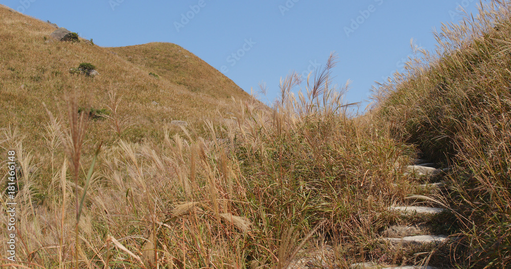 Beautiful mountain hiking trail Beautiful mountain hiking trail