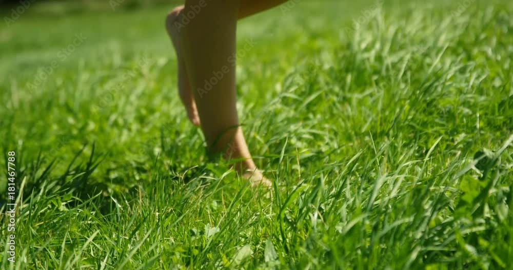 Close-up Shot of the Woman's Feet Walking on the Green Summer Grass. She Wears Stylish Dress and Holds Mobile Phone. Happy Summer Time. Close-up Shot of the Woman's Feet Walking on the Green Summer Grass. She Wears Stylish Dress and Holds Mobile Phone. Happy Summer Time.