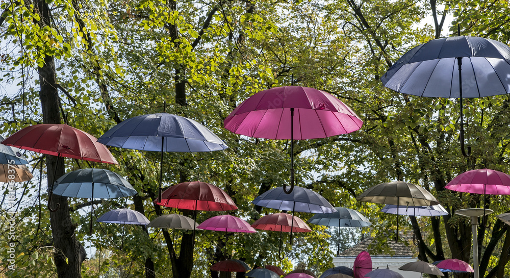 Umbrellas hanging on trees over a pedestrian zone