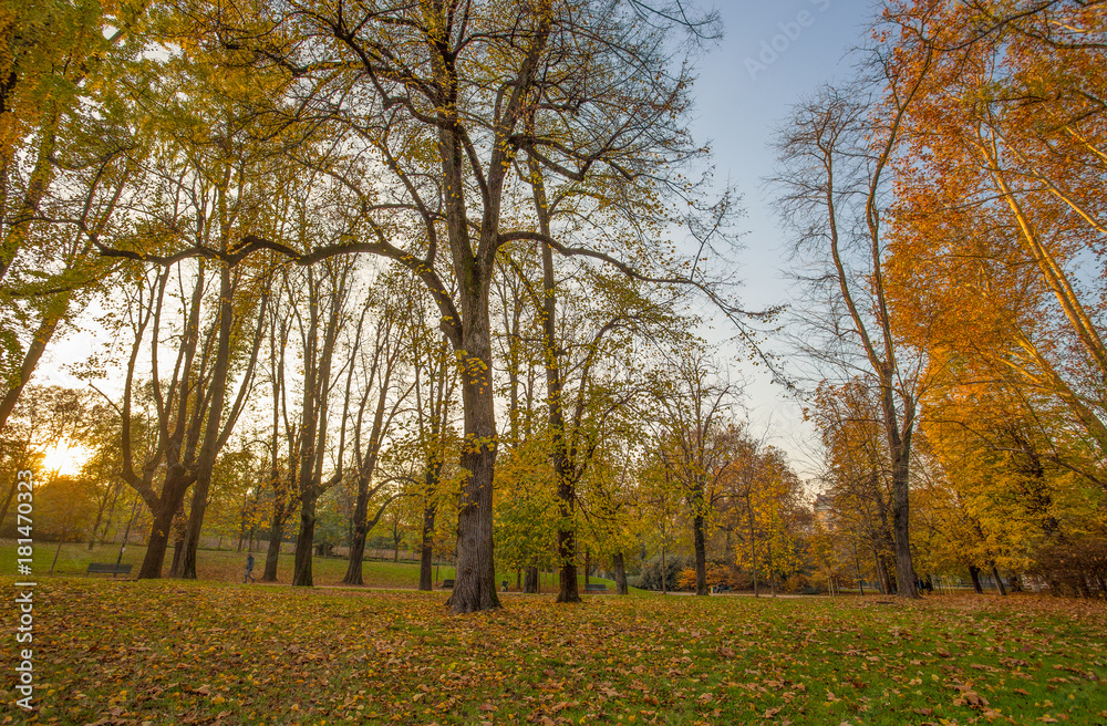 Autumn in Sempione Park in Milan, Italy.