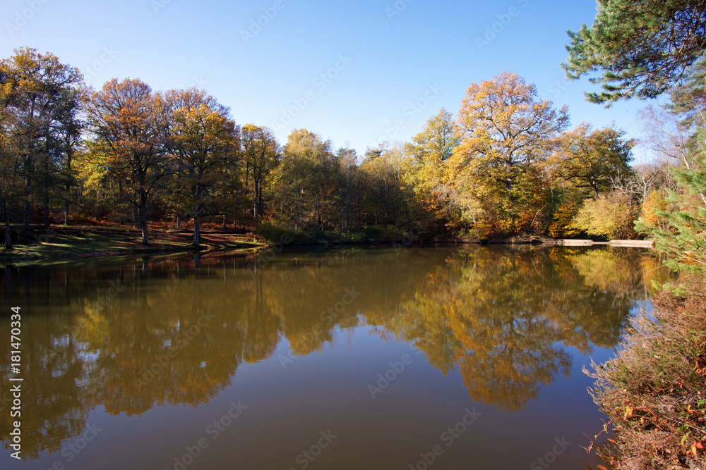 étang rompu pond in Rambouillet forest