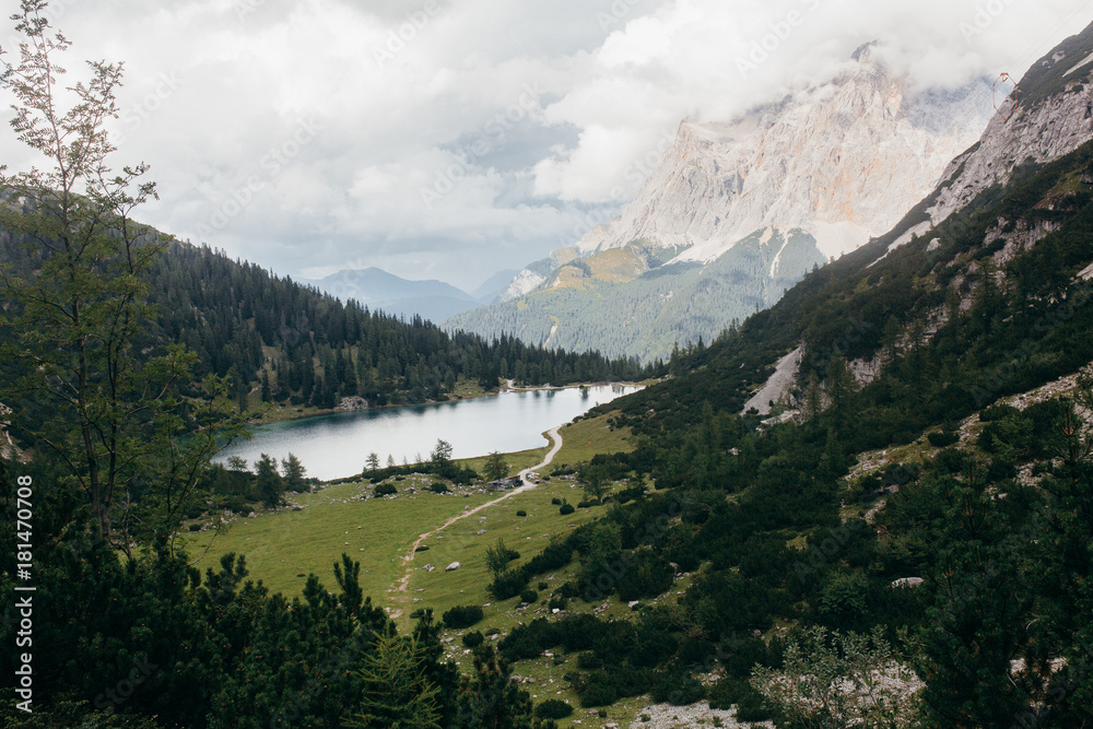 Obraz premium Nature in the summer Alps