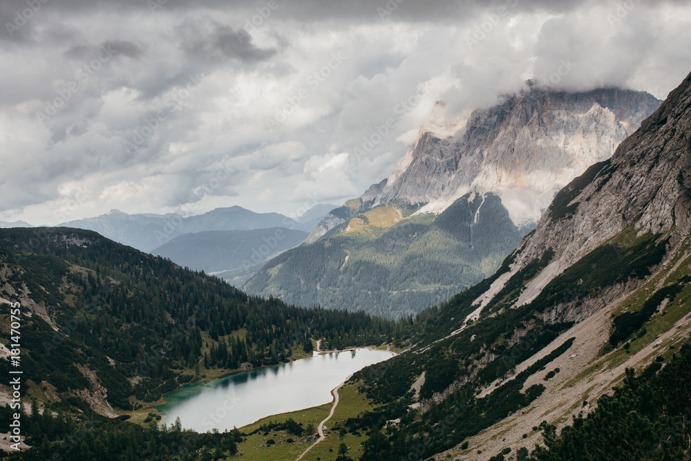 Nature in the summer Alps Nature in the summer Alps