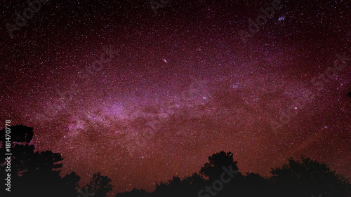 Sky at night with many star over forest silhouette, Beautiful clear sky at night and milky way, Bright starlight with dark sky and galaxy