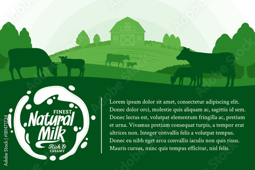 Vector milk illustration