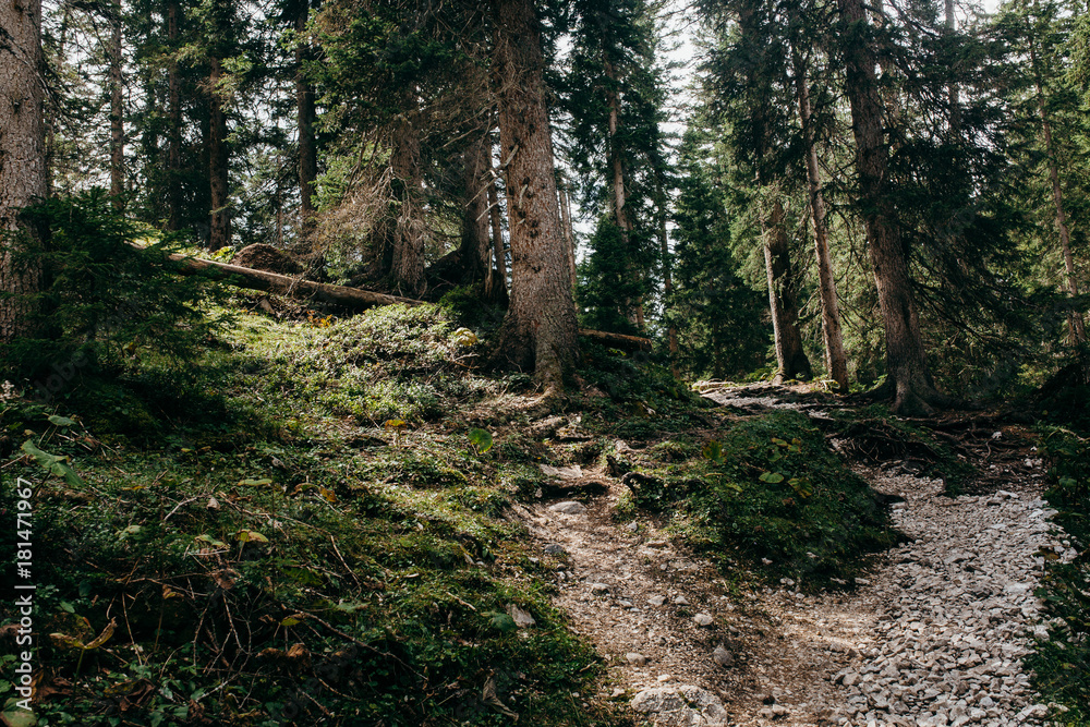 Fototapeta premium Landscapes in the Alps 