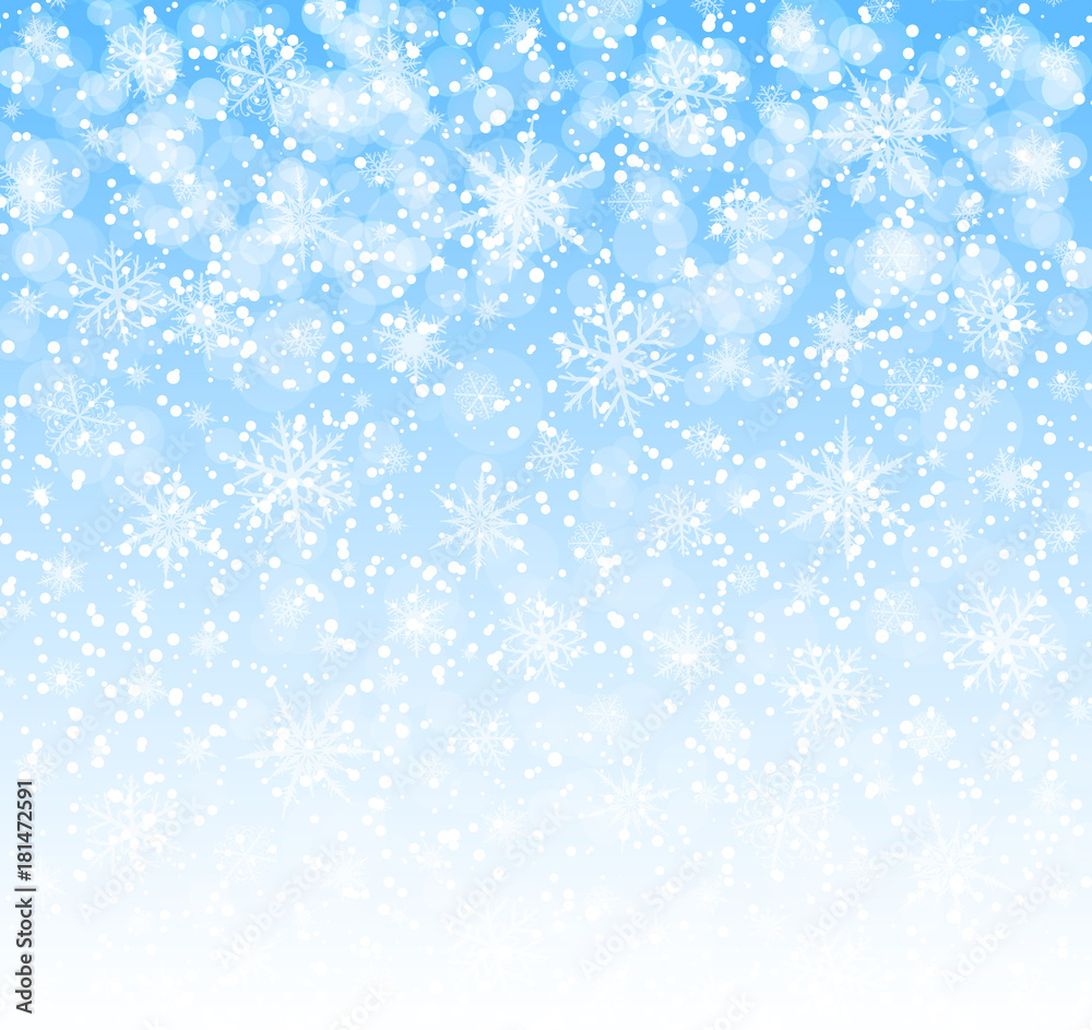 Winter background with snowflakes vector