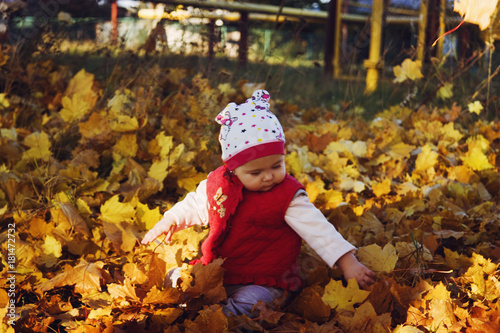 Little girl in the autumn garden
